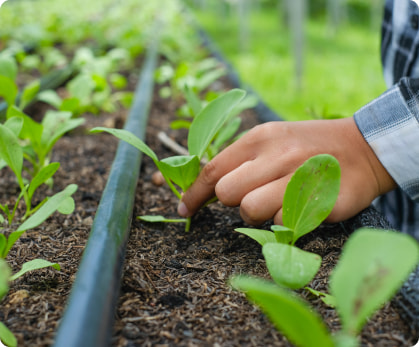 Micro Irrigation
