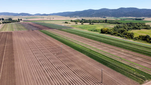 Agricultura a gran escala