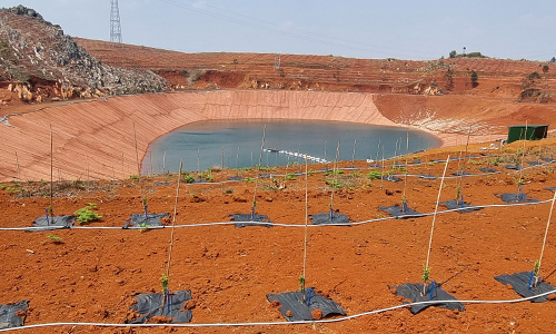 Advanced Irrigation Design for Challenging Topography – Plum Orchard, Yunnan, China