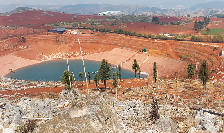 Proyecto de riego de huerto de ciruelos